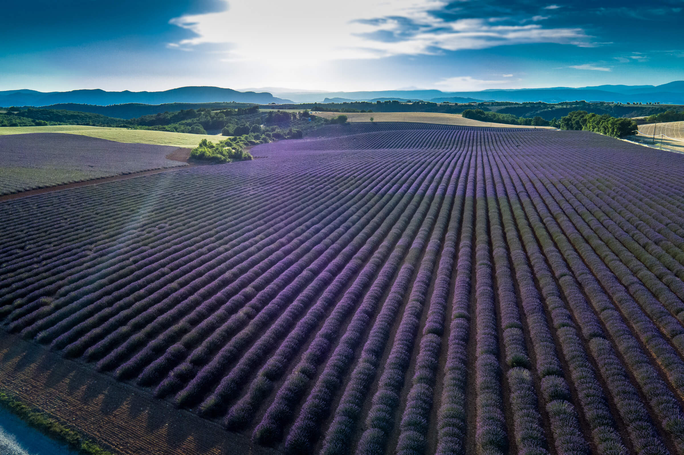 Photographie aérienne (2 sur 22)